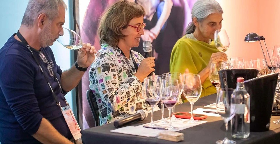 Notícias MAOS Staff