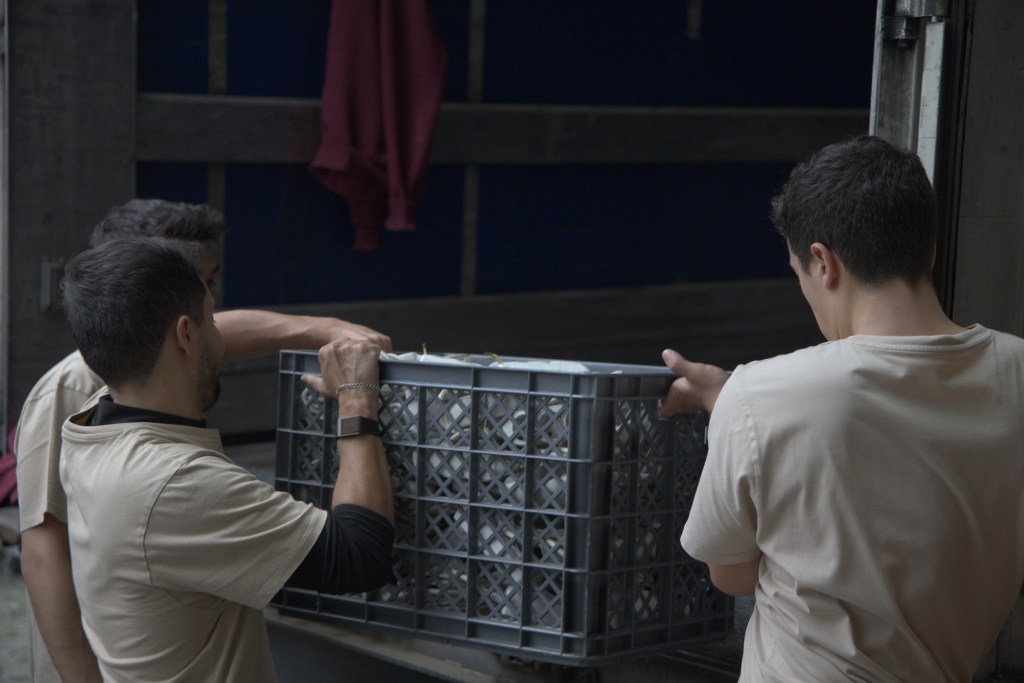 Transportes Mudanças MAOS Staff